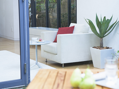 黑山羊种羊,黑山羊养殖,湖南黑山羊,黑山羊,黑山羊价格,江西黑山羊,贵州黑山羊,河南黑山羊,重庆黑山羊,湖北黑山羊,广东黑山羊